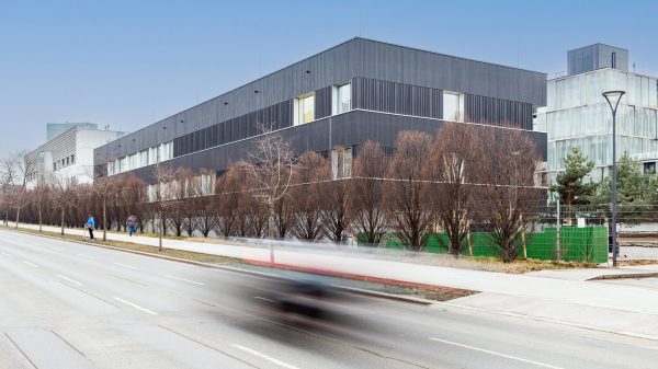 Foto: Peter Steinmayer