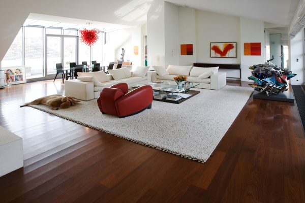 Penthouse-Salesianergasse_1