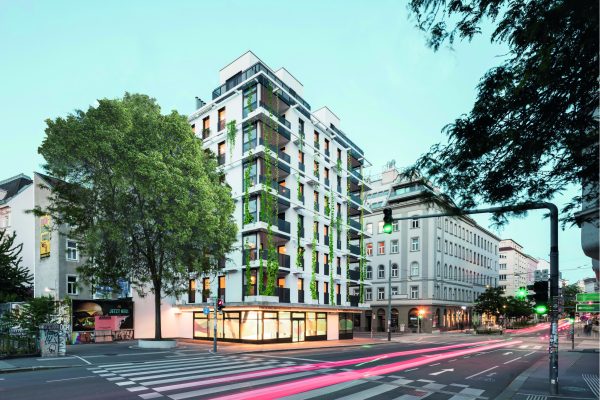 WSS_16_Retusche+Rankpflanzen+Baum